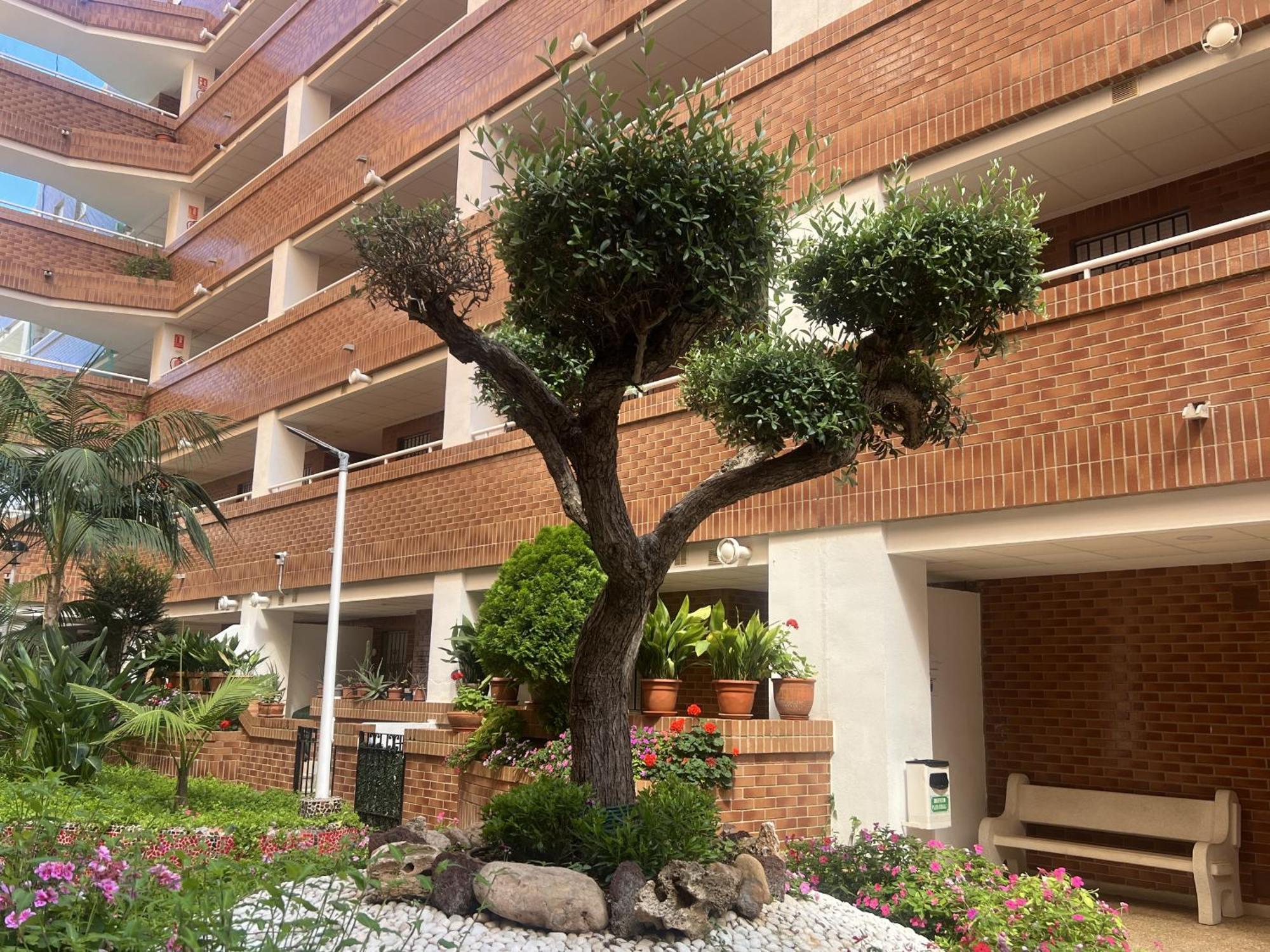 Apartamentos Marina Park Oropesa del Mar Buitenkant foto